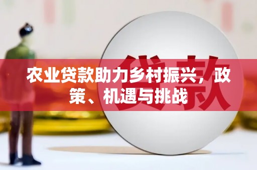 三江农业贷款助力乡村振兴，政策、机遇与挑战