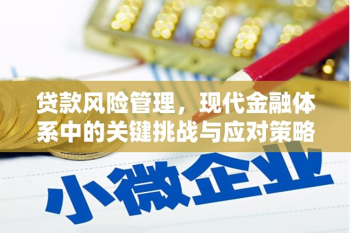 三江贷款风险管理，现代金融体系中的关键挑战与应对策略