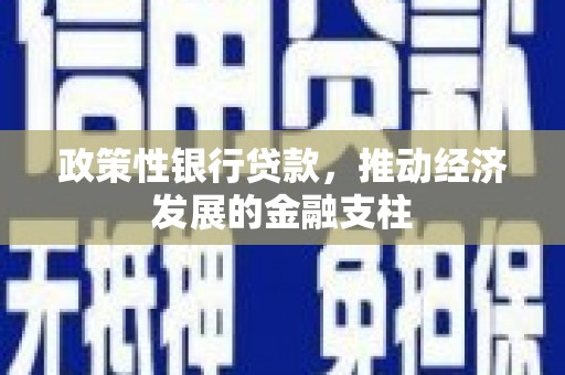 三江政策性银行贷款，推动经济发展的金融支柱