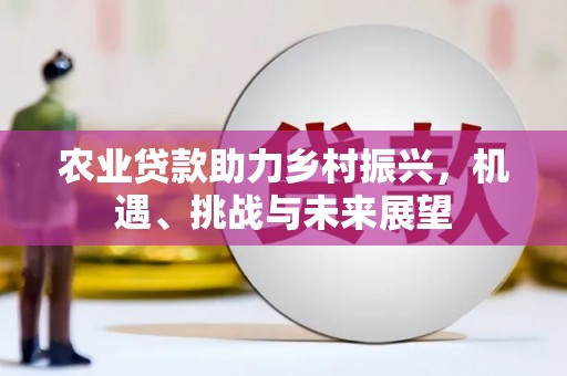 三江农业贷款助力乡村振兴，机遇、挑战与未来展望