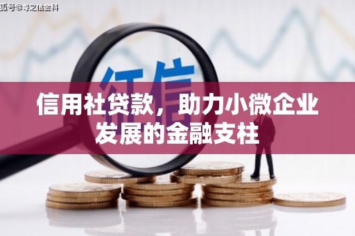 三江信用社贷款，助力小微企业发展的金融支柱