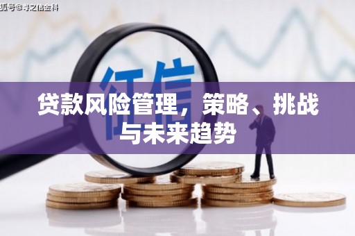 三江贷款风险管理，策略、挑战与未来趋势
