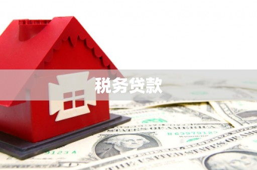 三江税务贷款