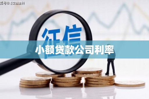 三江小额贷款公司利率