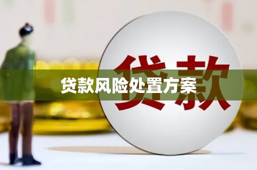 三江贷款风险处置方案