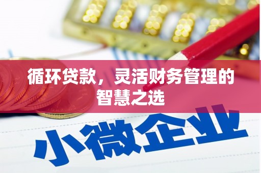 三江循环贷款，灵活财务管理的智慧之选