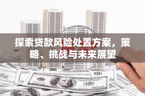 三江探索贷款风险处置方案，策略、挑战与未来展望