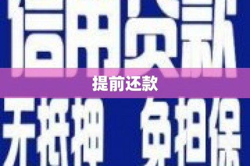 三江提前还款