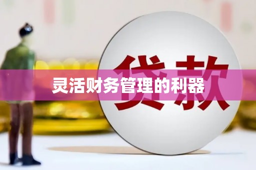 三江灵活财务管理的利器