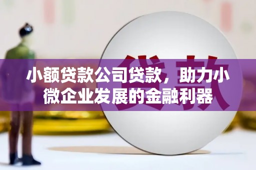 三江小额贷款公司贷款，助力小微企业发展的金融利器