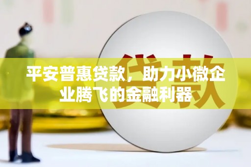 三江平安普惠贷款，助力小微企业腾飞的金融利器