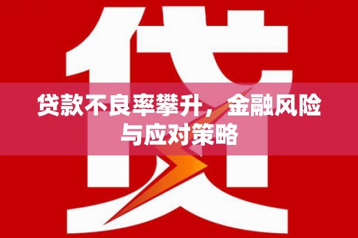 三江贷款不良率攀升，金融风险与应对策略