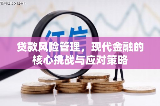 三江贷款风险管理，现代金融的核心挑战与应对策略