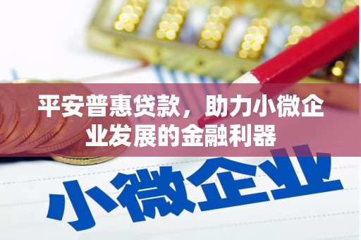 三江平安普惠贷款，助力小微企业发展的金融利器