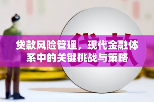 三江贷款风险管理，现代金融体系中的关键挑战与策略
