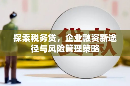三江探索税务贷，企业融资新途径与风险管理策略