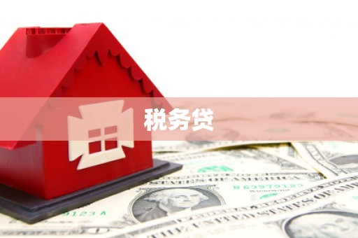 三江税务贷