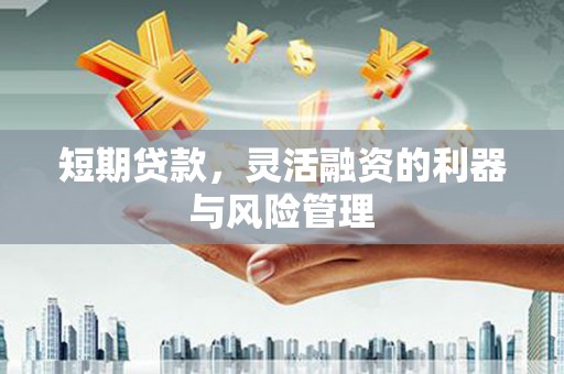 三江短期贷款，灵活融资的利器与风险管理