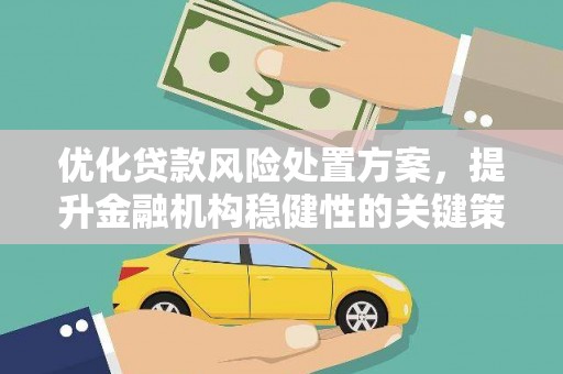 三江优化贷款风险处置方案，提升金融机构稳健性的关键策略