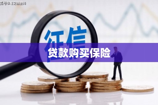 三江贷款购买保险