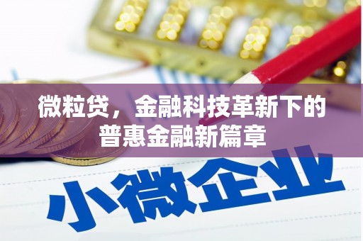 三江微粒贷，金融科技革新下的普惠金融新篇章