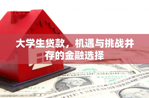 三江大学生贷款，机遇与挑战并存的金融选择