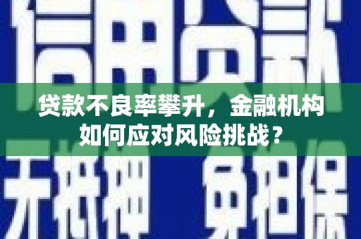 三江贷款不良率攀升，金融机构如何应对风险挑战？