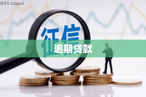三江逾期贷款