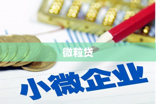 三江微粒贷