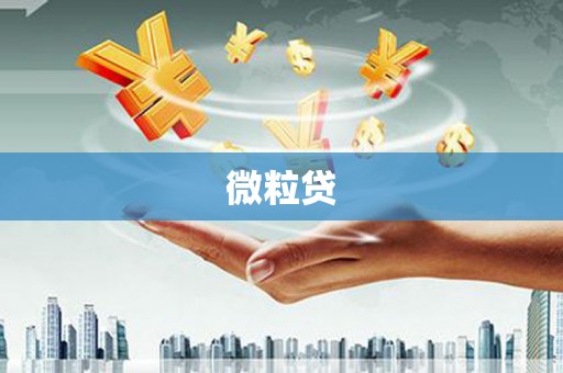 三江微粒贷