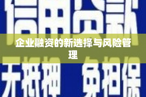 三江企业融资的新选择与风险管理
