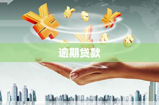 三江逾期贷款